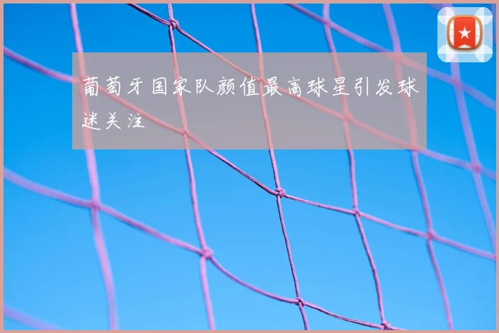 葡萄牙国家队颜值最高球星引发球迷关注