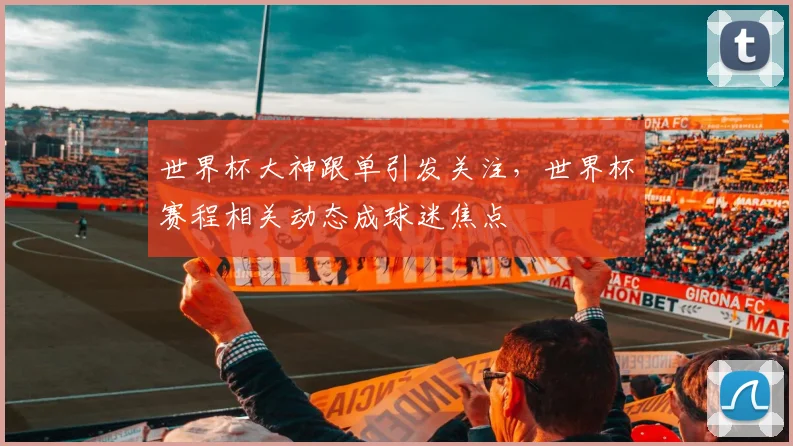 世界杯大神跟单引发关注，世界杯赛程相关动态成球迷焦点