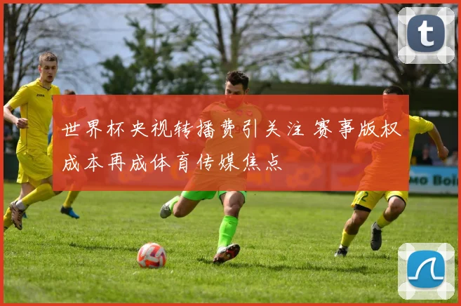 世界杯央视转播费引关注 赛事版权成本再成体育传媒焦点