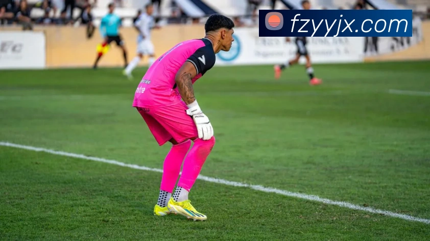 App Interface Preview