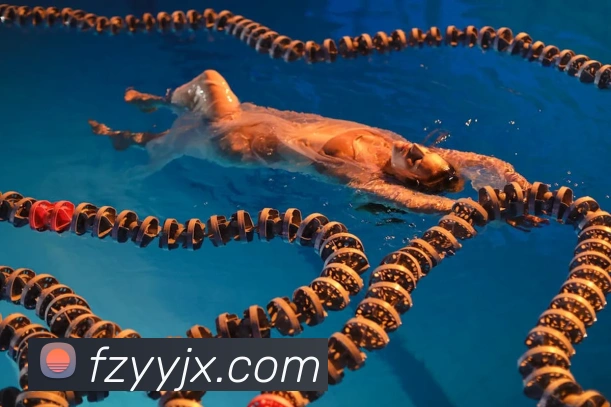 星空体育中国官方网站APP 封面图